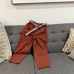 Everlane Redwood Pants